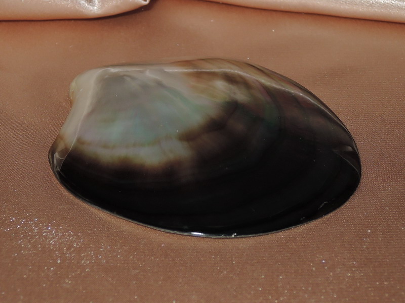 Lastúra TPS100G Lastúra TPS100G