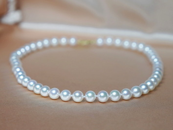 Perlový náhrdelník akoya perly APN7580C Perlový náhrdelník akoya perly APN7580C