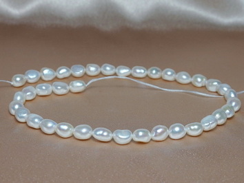 perly BS80wJ perly BS80wJ