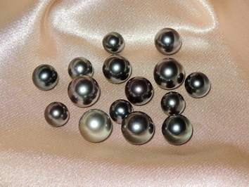 perly TPL100T perly TPL100T