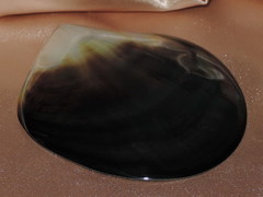 Lastúra TPS100G 2.jpg TPS100G