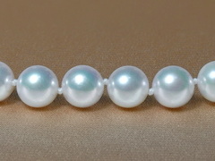 Perlový náhrdelník japonské akoya perly 6,5 mm APN6570C APN6570C_.JPG APN6570C