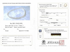 Náhrdelník japonské akoya perly Aurora Rose Aurora ROSE 6065 Aurora_Rose_SK42169.jpg Aurora ROSE 6065