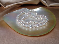 Náhrdelník z japonských akoya perál AAA 8 mm APN8085C DSCN0243.jpg APN8085C