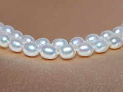 Dvojradový perlový náhrdelník DOSN06AA+wJ Dvojradový perlový náhrdelník DOSN06AA+wJ-1.JPG DOSN06AA+wJ