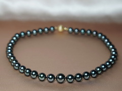 Luxusný náhrdelník z tahitských perál Aurora Lagoon TPN63OP Luxusný náhrdelník z tahitských perál Aurora Lagoon TP63OP.JPG TPN63OP