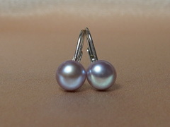 Perlové náušnice DS701SBE-L Perlové náušnice sladkovodné perly DS701SBE-L_1.JPG DS701SBE-L