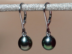 Zlaté náušnice 14K s tahitskými perlami TDWE100H Perlové náušnice tahitské perly TDWE100H-2.JPG TDWE100H