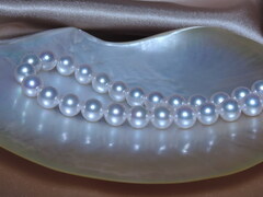 Náhrdelník z japonských akoya perál Hanadama 8mm HANADAMA 8085 Perlový náhrdelník Aurora HANADAMA 8-8,5mm 2.jpg HANADAMA 8085