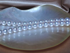 Náhrdelník z japonských akoya perál Hanadama 8mm HANADAMA 8085 Perlový náhrdelník Aurora HANADAMA 8-8,5mm 4.jpg HANADAMA 8085