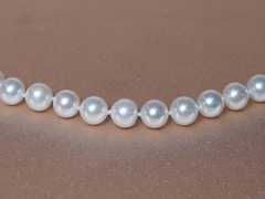 Perlový náhrdelník EPN7080AA+wZ Perlový náhrdelník EPN7080AA+wZ.1.JPG EPN7080AA+wZ