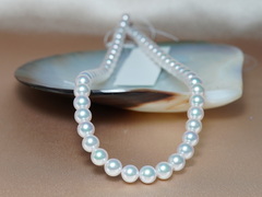 Náhrdelník japonské akoya perly Hanadama 7,5mm HANADAMA 7580 Perlový náhrdelník HANADAMA 7580_.JPG HANADAMA 7580