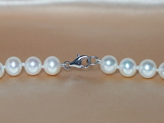 Náhrdelník zo sladkovodných perál AA+ 8,5mm NRSN8595AA+wA Perlový náhrdelník NRSN8595AA+wA.2.JPG NRSN8595AA+wA