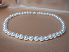 Perlový náhrdelník RSN8085AAAwA Perlový náhrdelník RSN8085AAAwA-1.JPG RSN8085AAAwA