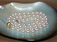 Náhrdelník japonské akoya perly HANADAMA 7,5mm HANADAMA 7580/1 Perlový náhrdelník akoya perly HANADAMA7580.2.JPG HANADAMA 7580/1