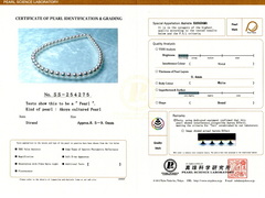 Náhrdelník z japonských akoya perál HANADAMA 8,5mm HANADAMA 8590 Perlový náhrdelník japonské akoya perly HANADAMA 8,5- 9 mm -3.jpg HANADAMA 8590