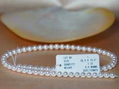 Perlový náhrdelník japonské akoya perly Tennyo 6 mm TEN-NYO 6065 Perlový náhrdelník japonské akoya perly Tenny 6-6,5mm.1.JPG TEN-NYO 6065