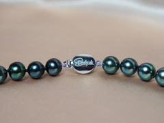 Perlový náhrdelník tahitské perly TPN051SS Perlový náhrdelník tahitské perly TPN051SS-2.JPG TPN051SS