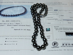 Perlový náhrdelník z tahitských perál Aurora Peacock TPN055OP Perlový náhrdelník tahitské perly TPN055OP-2.JPG TPN055OP