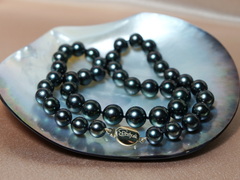 Perlový náhrdelník tahitské perly Aurora Peacock TPN056OP Perlový náhrdelník tahitské perly TPN056OP-3.JPG TPN056OP