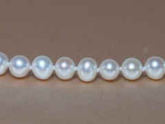 Perlový náhrdelník z bielych sladkovodných perál ORSN6070AA+wW Perlový náhrdelník z bielych sladkovodných perál ORSN6070AA+wW.1.JPG ORSN6070AA+wW