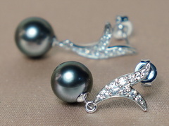 Náušnice s tahitskými perlami AAA v 14K zlate WW06WVE-T Zlaté napichovacie perlové náušnice WW06WVE-T-2.JPG WW06WVE-T