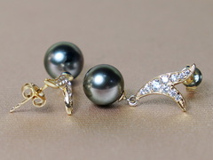 Zlaté náušnice 14K s tahitskými perlami AAA WW06YVE-T Zlaté napichovacie perlové náušnice WW06YVE-T-2.JPG WW06YVE-T
