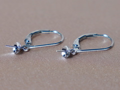 Zlaté náušnicové patenty NP01GA Zlatý náušnicový patent NP01GA-1.JPG NP01GA