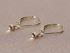 Zlaté náušnicové patenty NP02GA Zlatý náušnicový patent NP02GA.1.JPG NP02GA