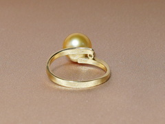 Zlatý prsteň s perlou Južného Pacifiku a diamantom BC04YR-G Zlatý prsteň s perlou Južného Pacifiku BC04YR-G.2.JPG BC04YR-G